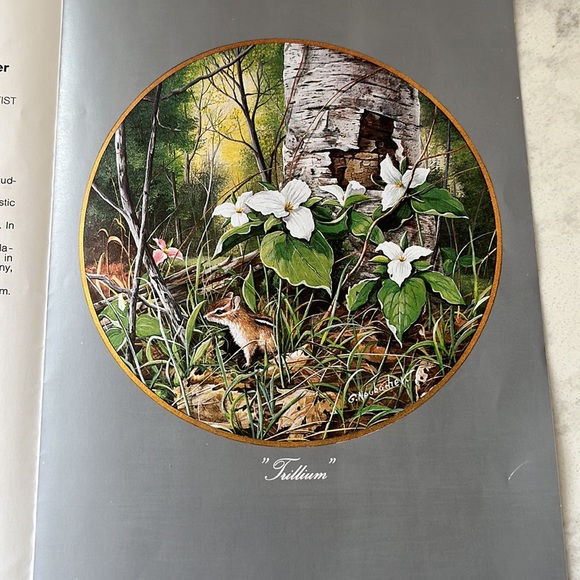 Kaiser Porcelain | Vintage Collectors Plate | Trillium | Canadian Artist - Picture 4 of 5